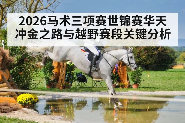 equestrian cross country horse